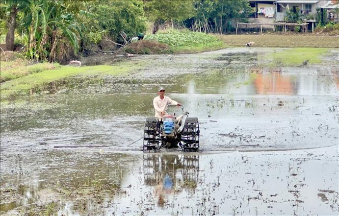 Nông dân thành phố Long Xuyên, tỉnh An Giang chuẩn bị xuống giống lúa vụ Đông Xuân. Ảnh: Thanh Sang-TTXVN