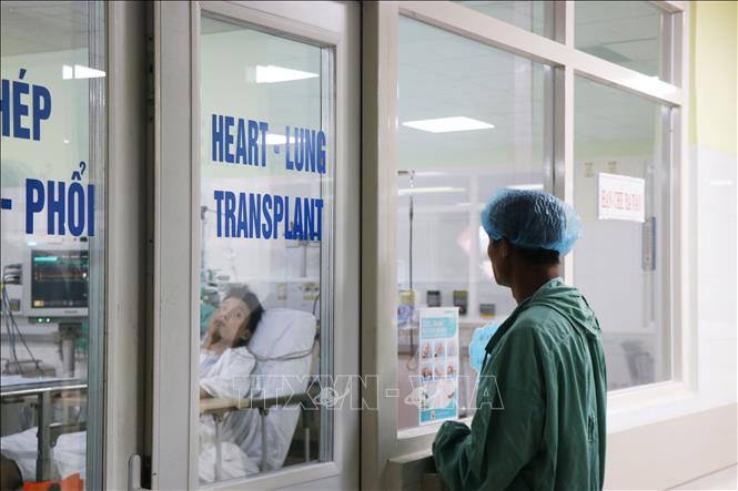 Ca ghép tim thứ 14 tại Bệnh viện Trung ương Huế, là ca ghép tim xuyên Việt thứ 13. Ảnh: Tường Vi - TTXVN