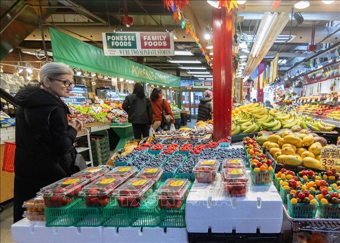 Hàng hóa được bày bán trong khu chợ ở Toronto, Canada, ngày 19/11/2024. Ảnh: THX/TTXVN