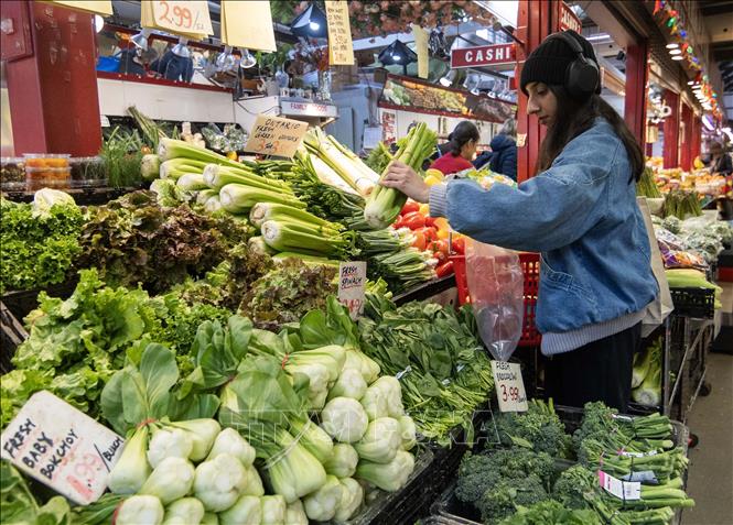 Hàng hóa được bày bán trong khu chợ ở Toronto, Canada, ngày 19/11/2024. Ảnh: THX/TTXVN