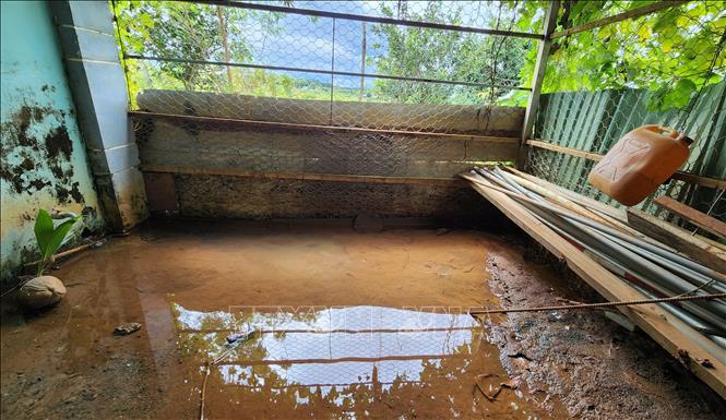 Nước liên tục tràn vào gây ngập nhà bà Dụ (ấp Bù Tam, xã Hưng Phước, huyện Bù Đốp). Ảnh: Đậu Tất Thành – TTXVN