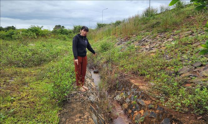 Nước chảy âm ỉ, róc rách ngày đêm từ bên kia bờ đập qua chân đập, bên phía nhà bà Dụ. Ảnh: Đậu Tất Thành – TTXVN