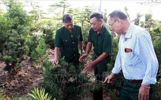 Cựu chiến binh Nguyễn Xuân Vui (giữa) tại xã Điền Xá, huyện Nam Trực, tỉnh Nam Định, là bộ đội Trường Sơn, đã phát huy lợi thế nghề trồng hoa, cây cảnh của địa phương để phát triển kinh tế gia đình, tạo việc làm cho 7 lao động trong đó có 4 người là hội viên hội cựu chiến binh. Ảnh: Nguyễn Lành - TTXVN