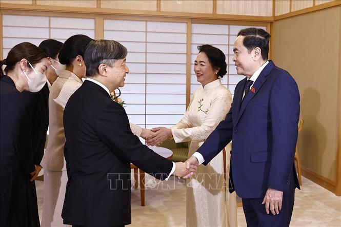 NA Chairman Tran Thanh Man and his spouse meet Japanese Emperor Naruhito and Empress Masako. VNA Photo: Doãn Tấn