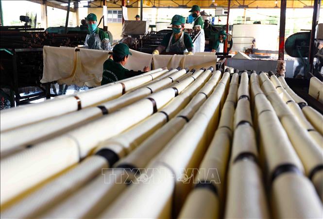 Sản phẩm cao su RSS3 được phơi khô trước khi đưa vào lò xông khối tại nhà máy của Công ty TNHH MTV Cao su Kon Tum. Ảnh: Vũ Sinh - TTXVN