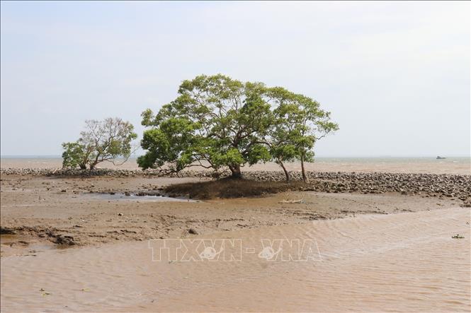 Biển Gò Công với nét hoang sơ, không gian yên bình. Ảnh: Hữu Chí - TTXVN