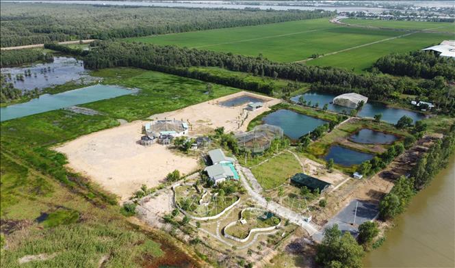 Cơ sở vật chất được xây dựng để phục vụ Đề án Bảo tồn và phát triển sếu đầu đỏ tại Vườn quốc gia Tràm Chim. Ảnh: Nhựt An - TTXVN