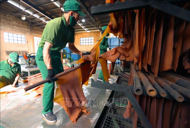 Producing ribbed smoked sheet rubber RSS3 for export at the Kon Tum Rubber Co. Ltd in the Central Highlands province of Kon Tum. VNA Photo: Vũ Sinh