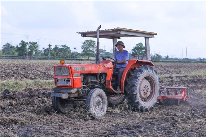 Cày lật đất trên cánh đồng xã Nam Dương, huyện Nam Trực. Ảnh: Công Luật - TTXVN