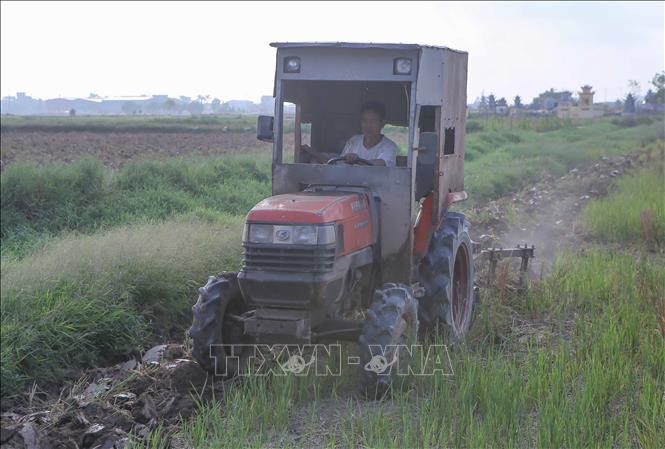 Máy cày cày lật đất trên cánh đồng xã Nam Cường, huyện Nam Trực. Ảnh: Công Luật - TTXVN
