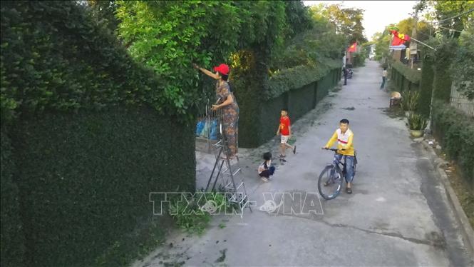 Hàng rào làm từ cây duối của người dân tại xã Hồng Lộc (huyện Lộc Hà). Ảnh: Hữu Quyết - TTXVN