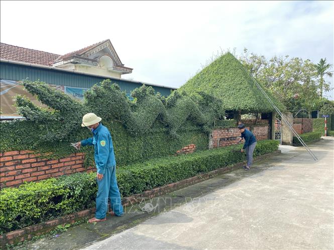 Hàng rào từ cây xanh được người dân xã Đồng Môn (thành phố Hà Tĩnh) tạo hình con rồng. Ảnh: Hữu Quyết - TTXVN