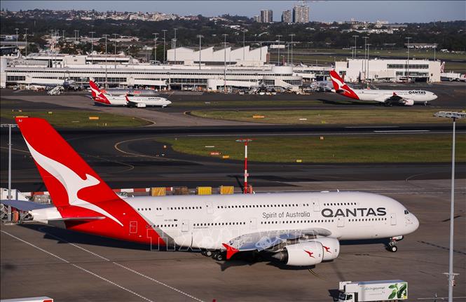 (Tư liệu) Máy bay của hãng hàng không Qantas tại sân bay Sydney, Australia. Ảnh: THX/TTXVN