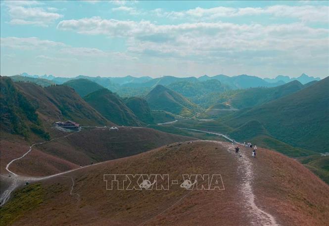 Poetic beauty of Ba Quang grass hill. VNA Photo: Quốc Đạt
