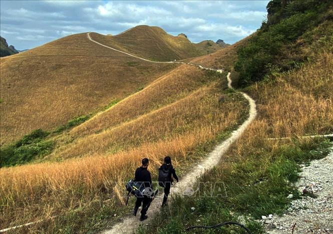 A trail leading to the top of a grassy hill. VNA Photo: Quốc Đạt