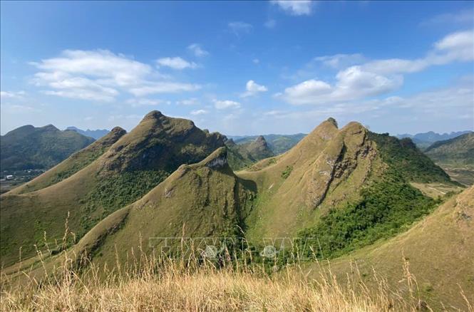 Ba Quang grass hills is a new tourism destination in Cao Bang province, promising great potential to attract visitors and hikers. VNA Photo: Quốc Đạt