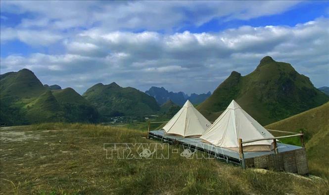 Overnight camping on Ba Quang grassy hill is also one of the tours that attracts visitors. VNA Photo: Quốc Đạt