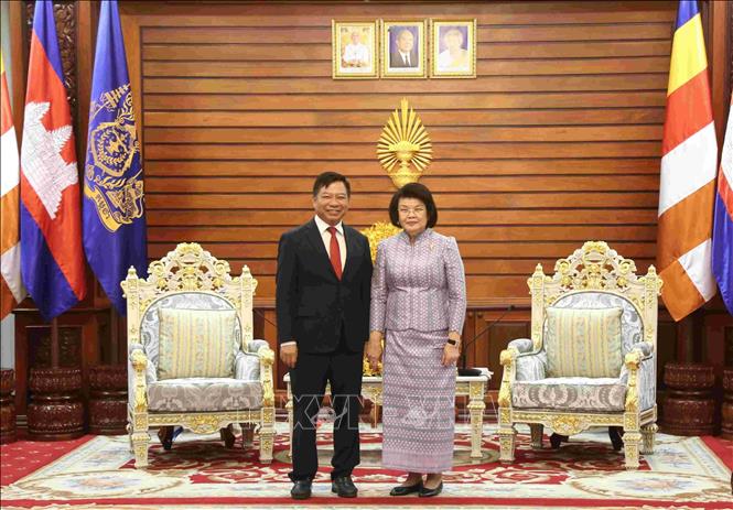 Chủ tịch Quốc hội Campuchia Samdech Moha Rathsapheathika Thipadei Khuon Sudary (phải) và Đại sứ Việt Nam Nguyễn Huy Tăng tại buổi tiếp. Ảnh: Huỳnh Thảo - PV TTXVN tại Campuchia