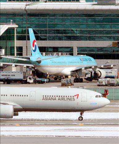 Máy bay của Hãng hàng không Korean Air và Asiana Airlines tại sân bay quốc tế Incheon ở Seoul, ngày 29/11/2024. Ảnh: YONHAP/TTXVN