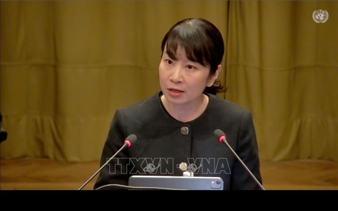 PGS. TS. Nguyễn Thị Lan Anh, Phó Giám đốc Học viện Ngoại giao, phát biểu tại phiên trình bày. Ảnh : TTXVN phát
