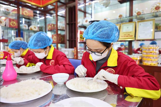 Các công nhân chế biến tổ yến tại cơ sở sản xuất yến sào Đinh Thuận. Ảnh: Minh Đức - TTXVN