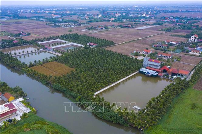Với diện tích 4 hecta, anh Đinh Văn Thuận sản xuất và phát triển kinh tế gồm nuôi yến, thủy sản, dược liệu, du lịch sinh thái. Ảnh: Minh Đức - TTXVN