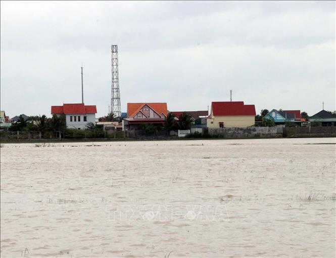 Người dân ở vùng trũng thấp thôn Văn Lâm 3 (xã Phước Nam, huyện Thuận Nam) vẫn bị ngập nước. Ảnh: Công Thử - TTXVN