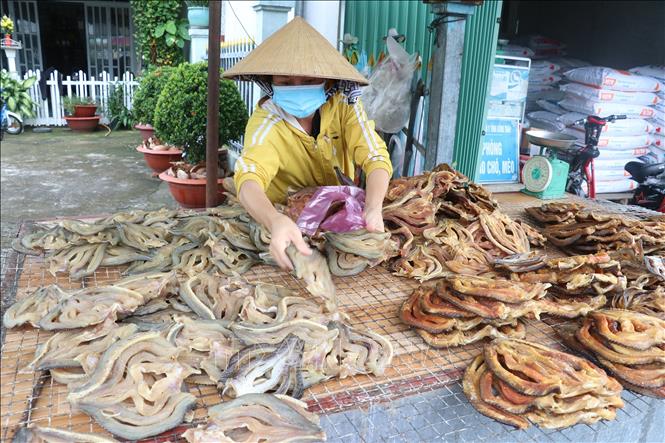 Khô cá lóc của Cơ sở Thanh Ngân được bày bán tại xã Phú Thọ, huyện Tam Nông, tỉnh Đồng Tháp. Ảnh : Nguyễn Văn Trí – TTXVN