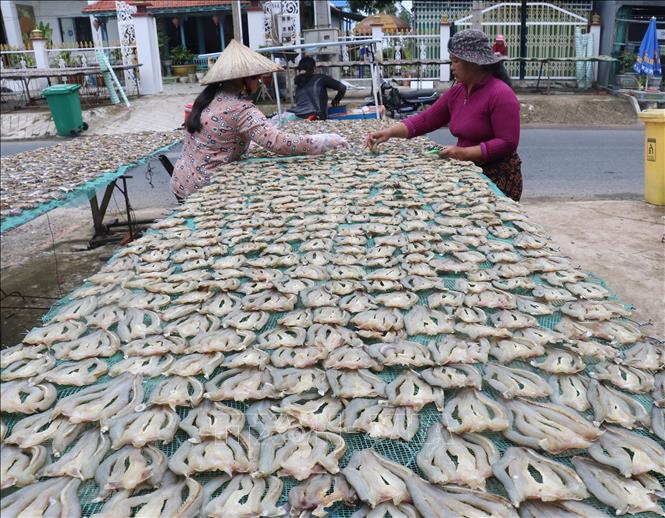 Công đoạn đảo cá phơi nắng của Cơ sở sản xuất khô Thanh Ngân ở xã Phú Thọ huyện Tam Nông, tỉnh Đồng Tháp. Ảnh: Nguyễn Văn Trí - TTXVN