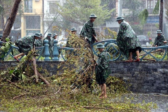Các chiến sĩ Trung đoàn Bộ binh 43, Sư đoàn 395, Quân khu 3, đội mưa hỗ trợ người dân thu dọn cây xanh gãy đổ dọc tuyến Quốc lộ 18A qua địa phận thành phố Hạ Long, tỉnh Quảng Ninh (9/9/2024). Ảnh: Đức Hiếu – TTXVN