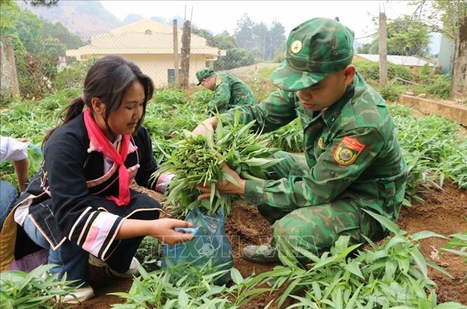 Đồn biên phòng Huổi Luông, Bộ đội biên phòng Lai Châu triển khai mô hình “Vườn rau sạch cho bé