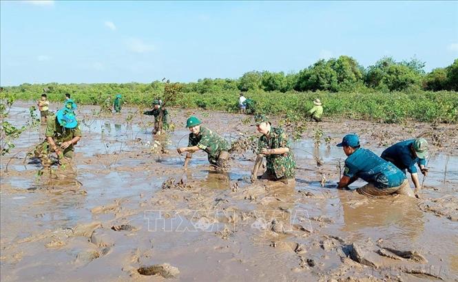 Đồn Biên phòng Vĩnh Hải phối hợp với các đơn vị trồng 1.000 cây mắm tại khu vực ven biển thuộc ấp Trà Sết, xã Vĩnh Hải, thị xã Vĩnh Châu (Sóc Trăng). Ảnh: Trung Hiếu-TTXVN