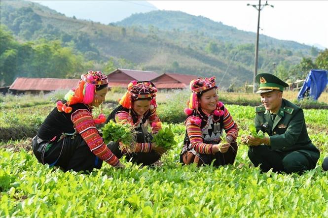 Cán bộ Đồn Biên phòng A Pa Chải (Điện Biên) giúp đỡ người dân phát triển kinh tế, xóa đói, giảm nghèo, góp phần xây dựng nông thôn mới, củng cố mối quan hệ đoàn kết, gắn bó quân dân. Ảnh: Minh Đức - TTXVN