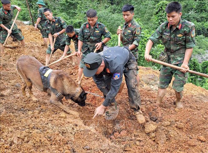 Các lực lượng chức năng đưa chó nghiệp vụ vào hiện trường vụ sạt lở đất trên quốc lộ 34 làm 11 người chết tại tỉnh Hà Giang tìm kiếm người mất tích. Ảnh: Đức Thọ - TTXVN