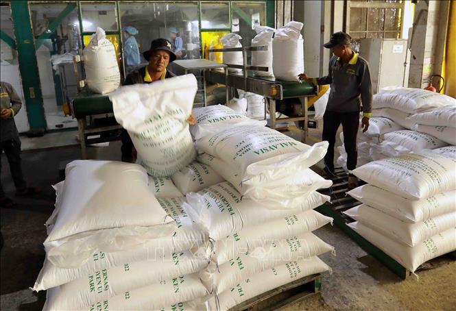 Packaging rice for export at the Vinh Phat Rice Co. Ltd in the Mekong Delta province of An Giang. VNA Photo: Vũ Sinh