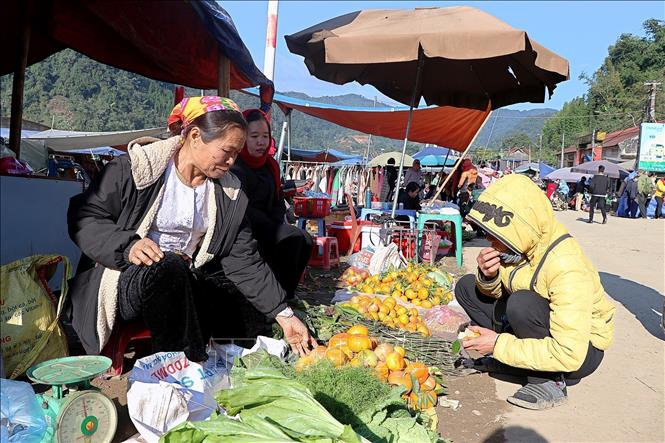 Nam Son tangerines are sold at a local market in Van Son commune. VNA Photo: Thanh Hải