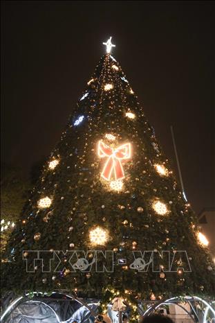 Cây thông Noel trước cửa Nhà thờ Lớn Hà Nội với chiếc nơ lớn rực sáng. Ảnh: Hoàng Hiếu - TTXVN