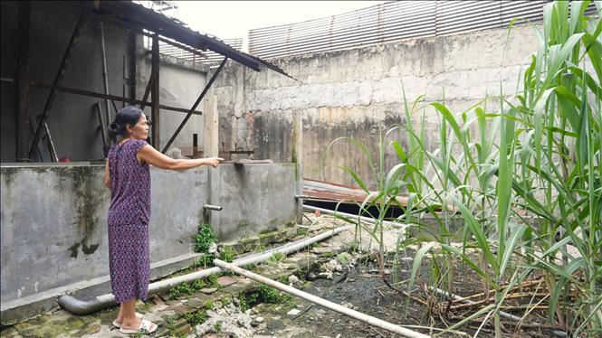 Nguồn nước ô nhiễm chảy tràn sang hộ bà Võ Thị Loan (69 tuổi, ngụ ấp Bình Linh, xã Chà Là, huyện Dương Minh Châu) gây bức xúc. Ảnh: Minh Phú - TTXVN