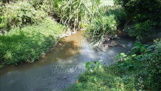 Nguồn nước xả ra từ hoạt động sản xuất của nhà máy thuộc Công ty TNHH Cao su Thành Lễ hòa vào suối Rạch Rễ ấp Bình Linh, xã Chà Là (Dương Minh Châu, Tây Ninh) gây ô nhiễm môi trường. Ảnh: Minh Phú – TTXVN