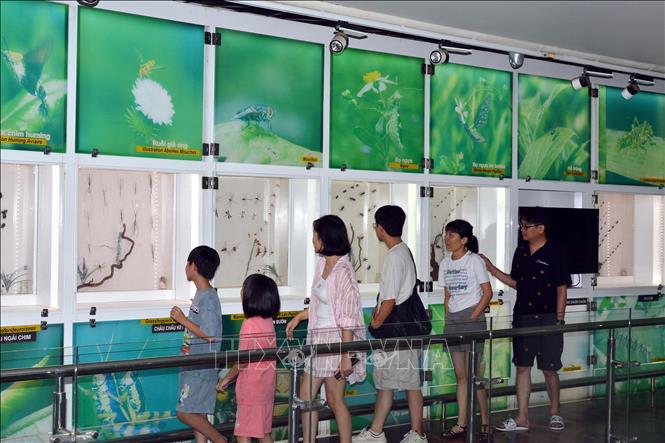 Visitors at Quang Ninh Museum. VNA Photo