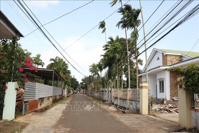 Đường làng, ngõ xóm tại Giáo xứ Vinh Hòa, xã Ea Ktur (Cư Kuin, Đắk Lắk) xanh, sạch, đẹp. Ảnh: Tuấn Anh – TTXVN