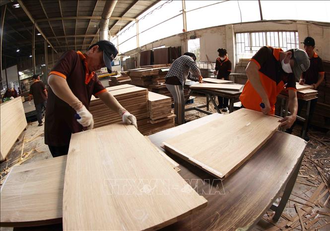 MDF wood products of the MDF Hai Duong Construction and Production Co. Ltd in Tan Uyen city are exported to the US, Australia and Thailand. VNA Photo: Vũ Sinh