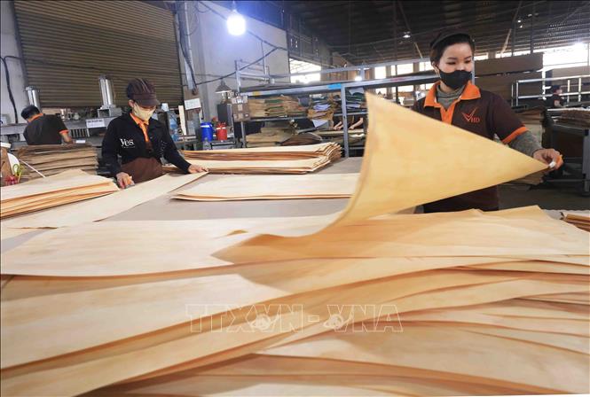 MDF wood products of the MDF Hai Duong Construction and Production Co. Ltd in Tan Uyen city are exported to the US, Australia and Thailand. VNA Photo: Vũ Sinh
