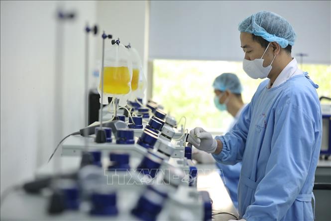Trong lĩnh vực truyền máu, Viện đã xây dựng được Trung tâm Máu Quốc gia đồng bộ, hoàn chỉnh. Ảnh: Minh Quyết - TTXVN