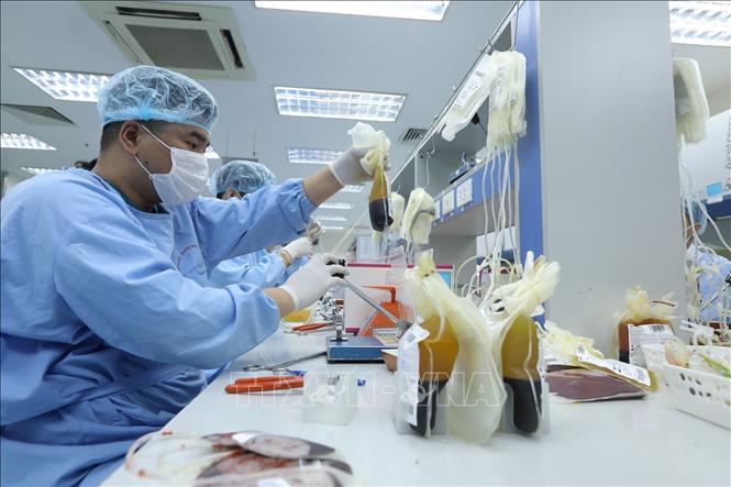 Trong lĩnh vực truyền máu, Viện đã xây dựng được Trung tâm Máu Quốc gia đồng bộ, hoàn chỉnh. Ảnh: Minh Quyết - TTXVN