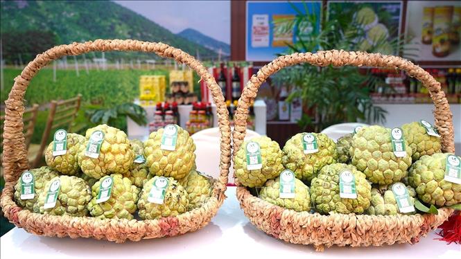 Sản phẩm quả mãng cầu đặc sản Tây Ninh đạt tiêu chuẩn OCOP được thiết kế mẫu mã sang trọng, thích hợp để làm quà tặng. Ảnh: Minh Phú - TTXVN