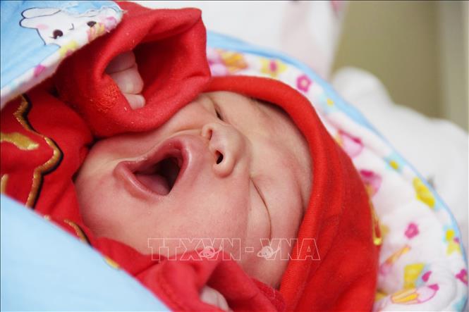 Em bé sơ sinh tại bệnh viện ở tỉnh Vân Nam, Trung Quốc, ngày 10/2/2024. Ảnh: THX/TTXVN