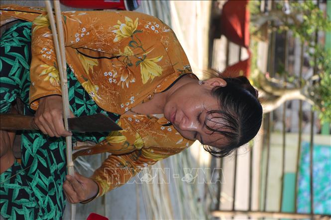 Nghề đan đát truyền thống ở ấp Mỹ I (xã Vĩnh Phú Đông, huyện Phước Long, tỉnh Bạc Liêu) gắn chặt với đời sống kinh tế của người dân địa phương. Ảnh: Chanh Đa-TTXVN 
