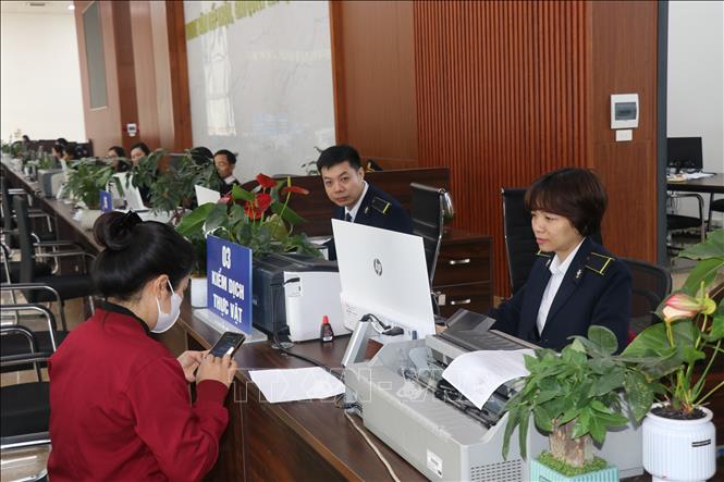 Businesses complete customs procedures at the Lao Cai International Border Gate. VNA Photo: Hồng Ninh