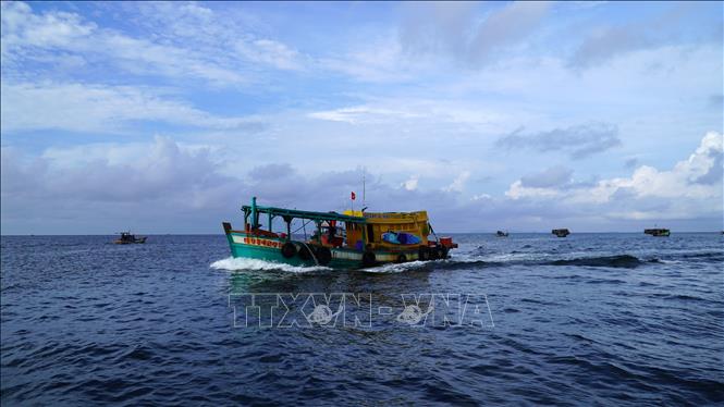 Tàu cá khai thác tại ngư trường tỉnh Kiên Giang. Ảnh: Văn Sĩ - TTXVN                               